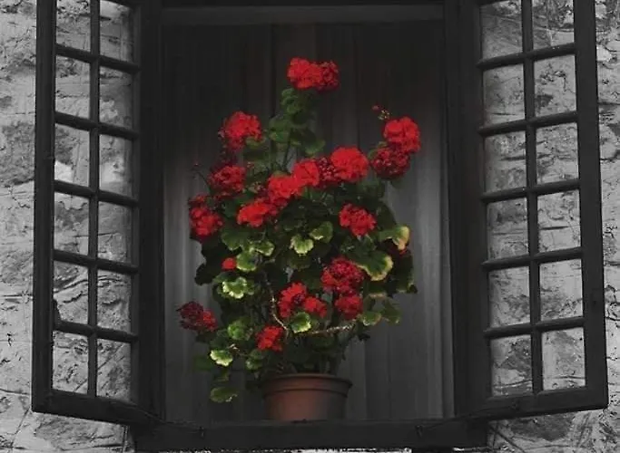 Octavio Guest house 2*