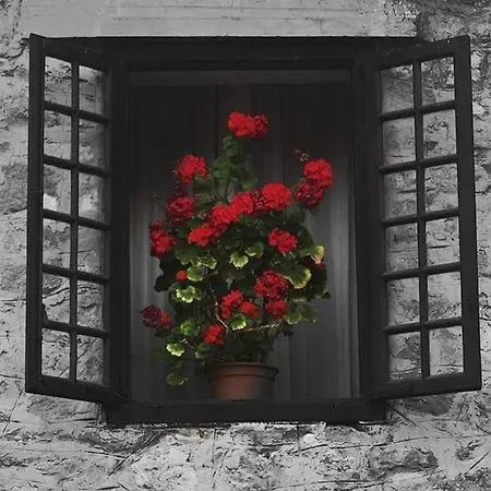 Octavio Πανσιόν 2*