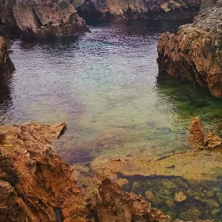 Πανσιόν Octavio